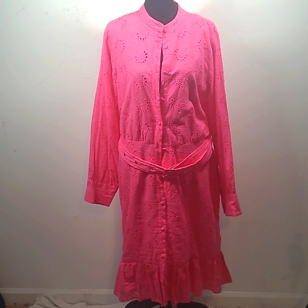 Ashley Stewart's Women's Dress